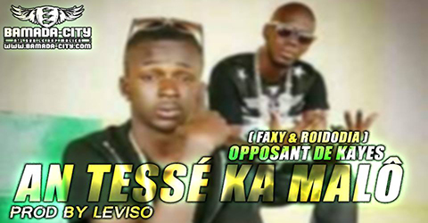 OPPOSANT DE KAYES - AN TÉSSÉ KA MALÔ (SON)