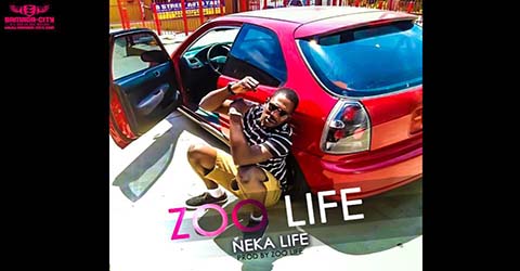 ZOO LIFE - NEKA LIFE - PROD BY ZOO LIFE