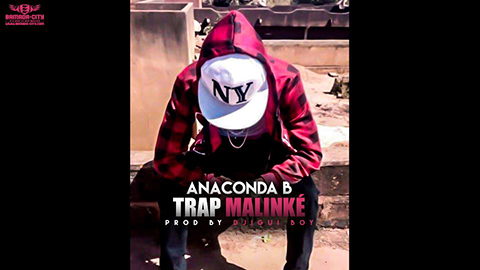 ANACONDA B - TRAP MALINKÉ (SON)