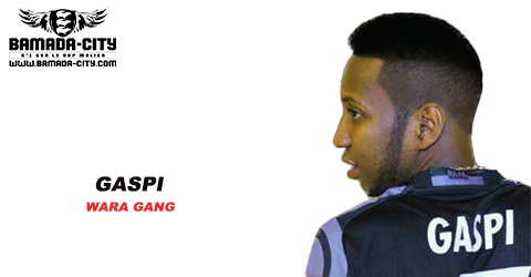 GASPI - WARA GANG