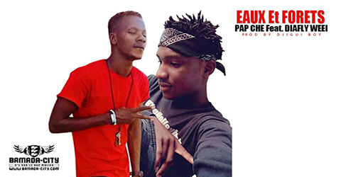 PAP CHE Feat. DIAFLY WEEI - EAUX ET FORETS (SON)