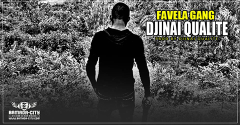 DJINAI QUALITÉ - FAVELA GANG (SON)