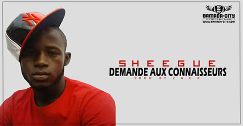 SHEEGUÈ - DEMANDE AUX CONNAISSEURS (SON)