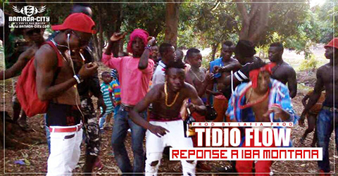 TIDIO FLOW - REPONSE A IBA MONTANA (SON)