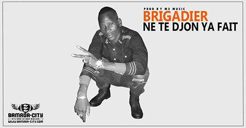 BRIGADIER - NE TE DJON YA FAIT (SON)