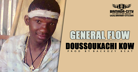 GENERAL FLOW - DOUSSOUKACHI KOW (SON)