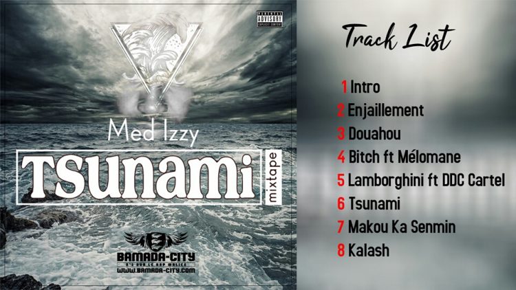 MED IZII Feat. MELOMANE - BITCH Prod by FAINSPI