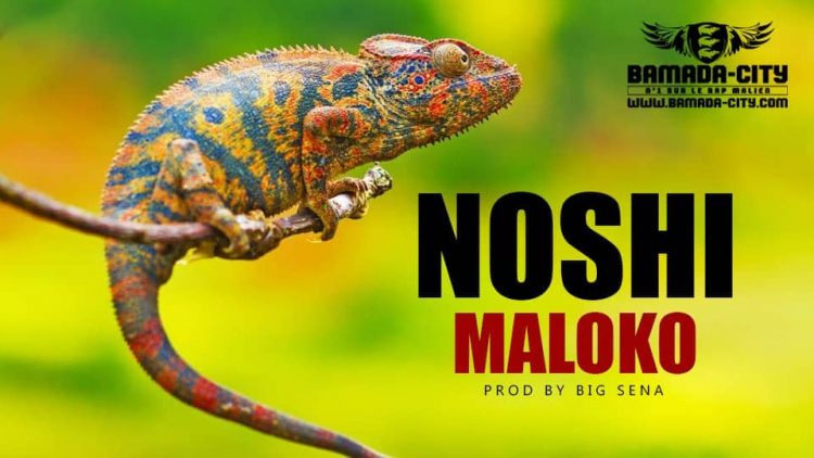 NOSHI - MALOKO Prod by BIG SENA