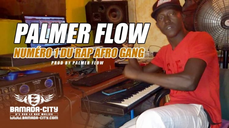 PALMER FLOW - NUMÉRO 1 DU RAP AFRO GANG Prod by PALMER FLOW