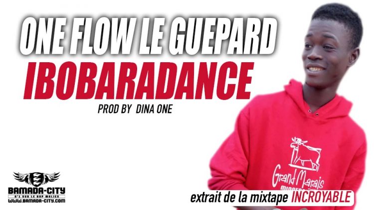 ONE FLOW LE GUEPARD - IBOBARADANCE extrait de la mixtape INCROYABLE Prod by DINA ONE