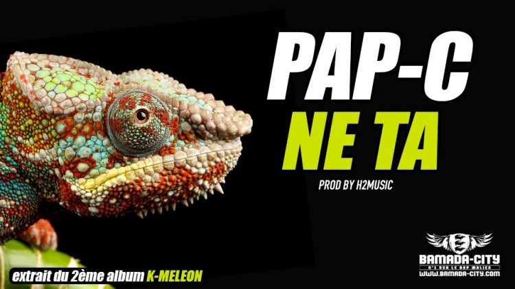 PAP-C - NE TA extrait du 2ème album K-MELEON Prod by H2MUSIC