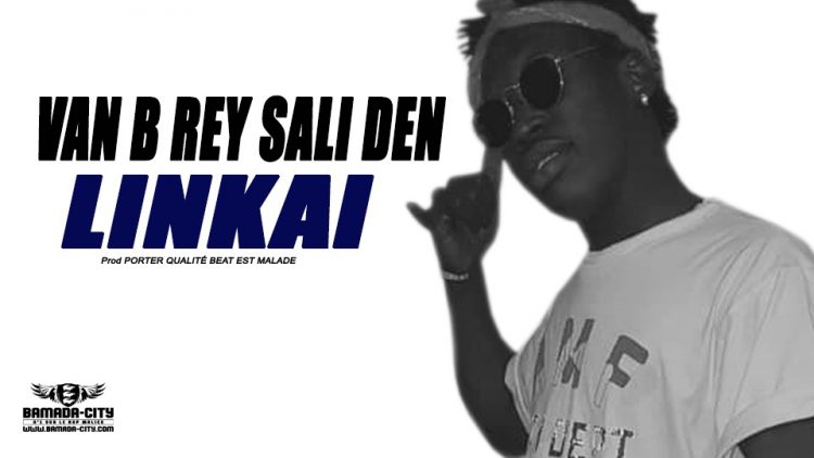 VAN B REY SALI DEN - LINKAI Prod POTTER QUALITÉ BEAT EST MALADE