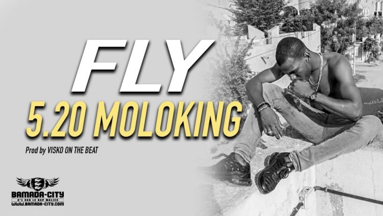5.20 MOLOKING - FLY Prod by VISKO ON THE BEAT