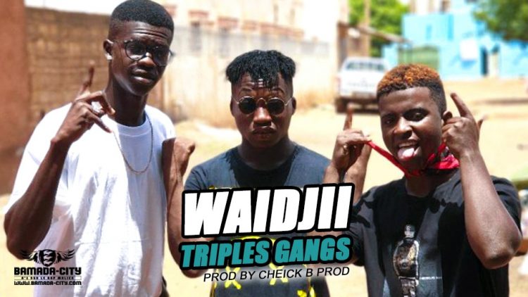 TRIPLES GANGS - WAIDJII Prod by CHEICK B PROD