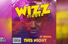 WIZZ TIGGER Feat. DINNA - THIS NIGHT