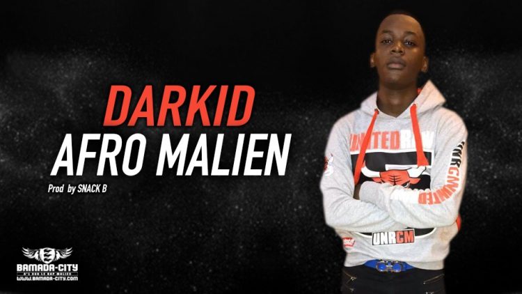 DARKID - AFRO MALIEN - Prod by SNACK B