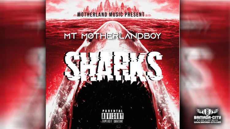 MT MOTHERLANDBOY - SHARKS