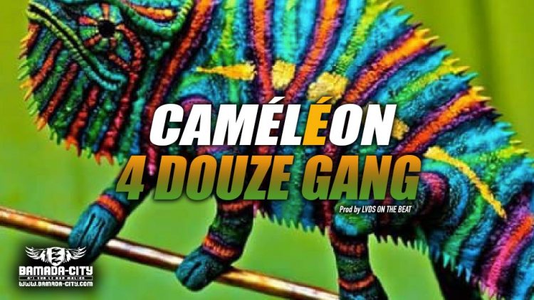 4 DOUZE GANG - CAMÉLÉON - Prod by LVDS ON THE BEAT