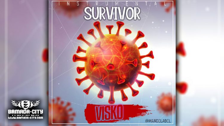 VISKO ON THE BEATZ - SURVIVOR