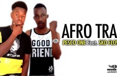 PESCO ONE Feat. SKD FLOW - AFRO TRAP - Prod by NOTORIOUS