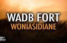 WADB FORT - WONIASIDIANE - Prod by DJELAFA