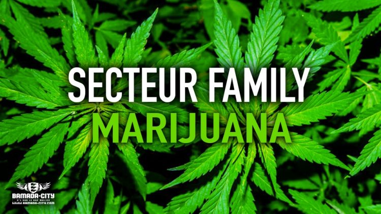 SECTEUR FAMILY - MARIJUANA - Prod by BAMAKO RECORDS