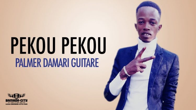 PALMER DAMARI GUITARE - PEKOU PEKOU - Prod by LUKA PROD