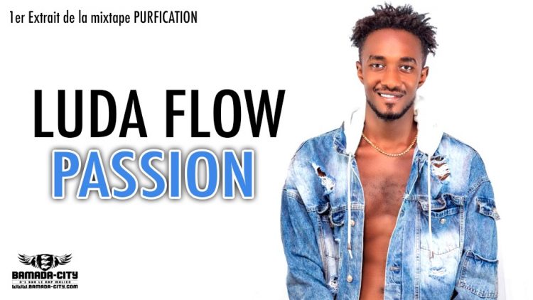 LUDA FLOW - PASSION 1er Extrait de la mixtape PURIFICATION - Prod by SEYBA LAFIA