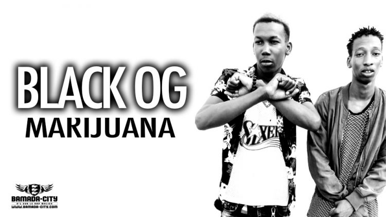 BLACK OG - MARIJUANA Prod by CHRIS NELLY PROD