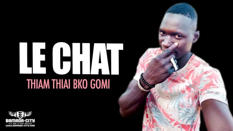 LE CHAT - THIAM THIAM BKO GOMI - Prod by S ONE