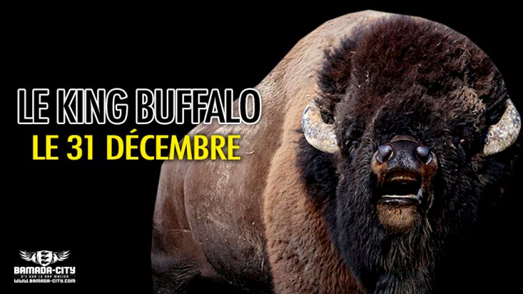 LE KING BUFFALO - LE 31 DÉCEMBRE - Prod by LIL B ON DA TRACK