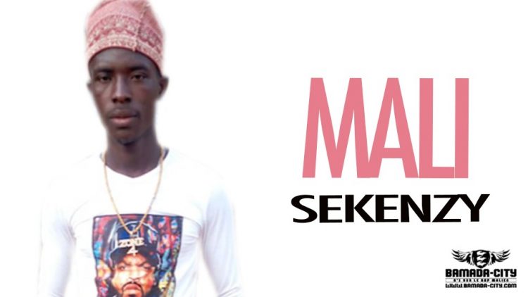 SEKENZY - MALI - Prod by B20 MUSIC