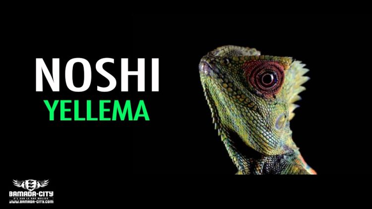 NOSHI - YELLEMA - Prod by KERLY