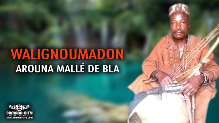 AROUNA MALLÉ DE BLA - WALIGNOUMADON - Prod by SD MUSIC